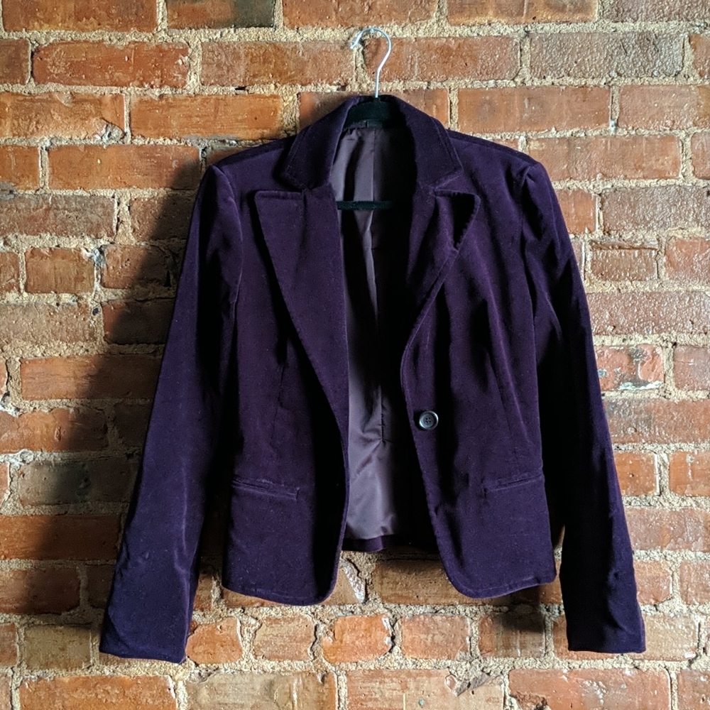 Express Design Studio Velvet Blazer